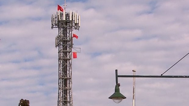 The flags seen from afar.