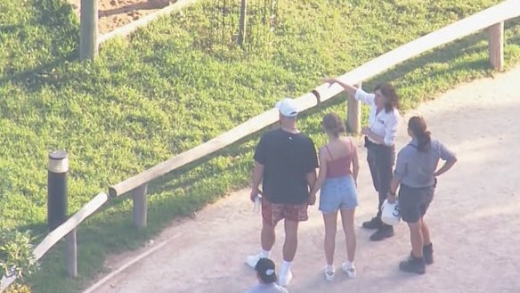 Look what you made me Zoo! Taylor Swift and Travis Kelce visit their favourite spot in Sydney, Sydney Zoo!