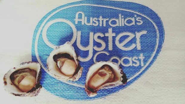 The NSW government invested $3.3 million in the company, Australia's Oyster Coast. 