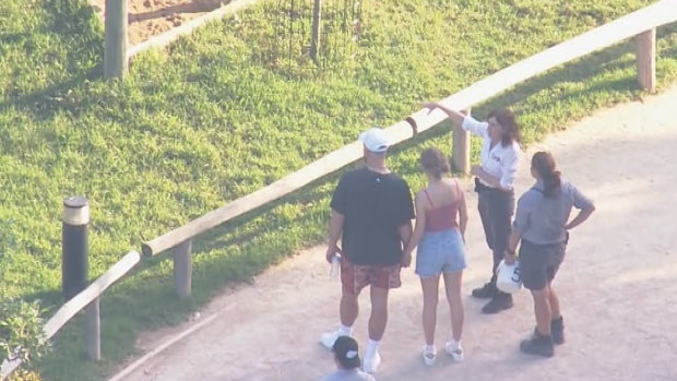 Look what you made me Zoo! Taylor Swift and Travis Kelce visit their favourite spot in Sydney, Sydney Zoo!