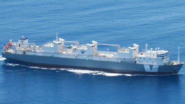 More than 150 cattle died on a ship from Darwin. It could result in a diplomatic debacle