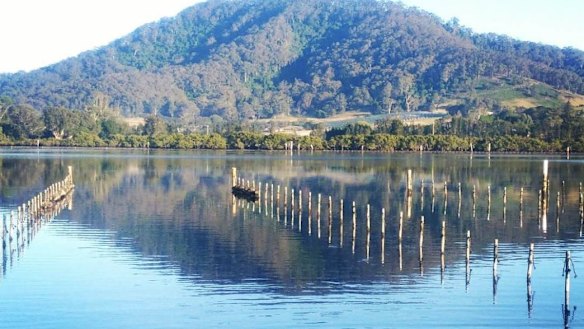 The Australia's Oyster Coast on the state's south coast. 