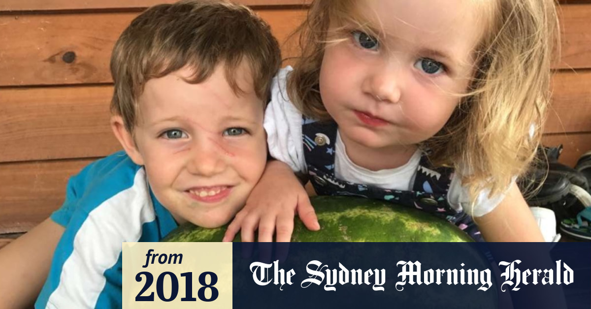 what to do if family dog bites child