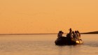 Guests are able to explore Australia’s coastline alongside a team of experts including naturalists, historians and other destination experts. Here alongside Western Australia’s coast observing birdlife from a Zodiac. 