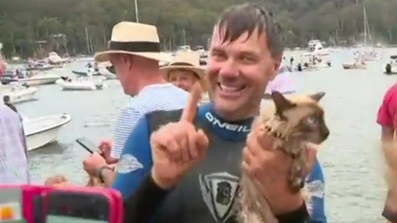 Most Popular Cat In The Country Gus Enters Dog Race Comes First