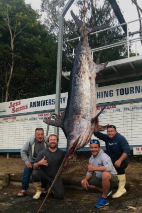 Ulladulla captain George Lirantzis, fisherman Mitch Ryan, and crew Ken and Pete Rushton landed this record breaking swordfish offshore Mallacoota on Sunday, May 27.