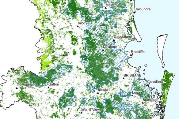 Core koala priority areas are shown in the blue-hatched areas. Dark green shows high priority koala habitat, while local koala habitat is shown in lighter green.