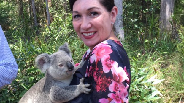 Environment Minister Leeanne Enoch has given Queensland's Koala Advisory Council extra time to finalise the state's koala conservation strategy.