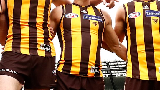 The terms of reference have been released for the panel investigation claims of racism at Hawthorn.