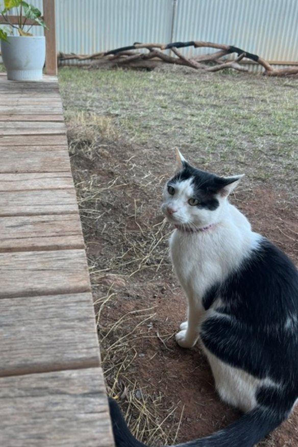 Jorny at home in the Northern Territory.