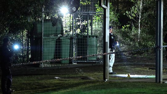 Police hunt for attacker after girl, 11, sexually assaulted