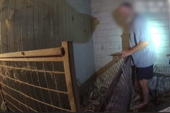 Who’s been harbouring fugitive Graham Potter? Police granted extradition order following high-profile arrest - The Age