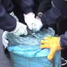 Dramatic arrest of Pong Su drug mules captured on police video