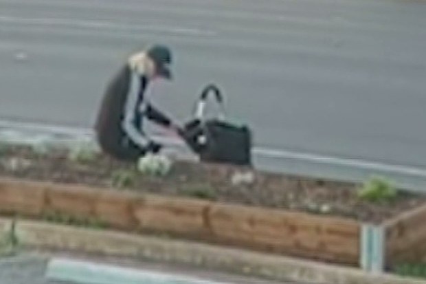 An alleged flower thief has been caught on CCTV ripping flowers from the garden beds of Adelaide businesses, leaving the owners bewildered.
