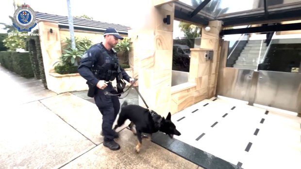 NSW Police’s dog squad was brought in to help.
