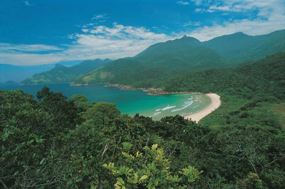 Part of the Atlantic Forest in Brazil.