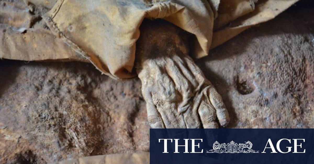 'Virtual autopsy' reveals mummified son of a Count kept hidden from sunlight - Vimarsana News