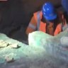 Footage shows Sydney light rail project worker joking, tossing human bones