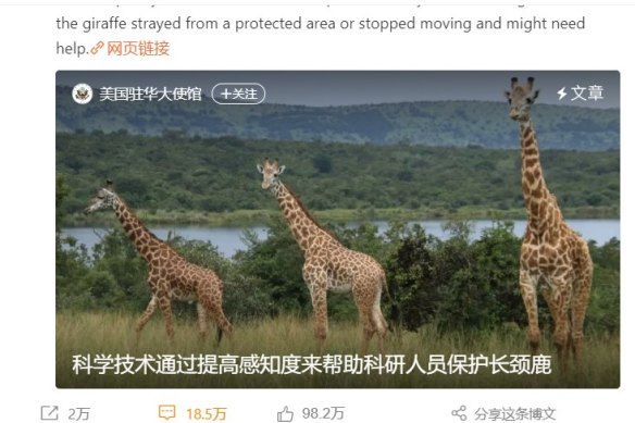 Chinese investors have aired their frustrations about their homeland on an innocuous post about giraffe conservation on the official Weibo social media account of the US Embassy in China.