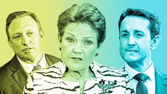Pauline Hanson’s One Nation is on the rise in Queensland. But it’s at the expense of Labor support. David Crisafulli’s (right) standing as preferred premier has shot up, while support for Labor leader Steven Miles (left) slumped.