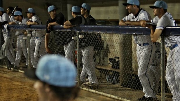 Liven up: Dobb is intent on improving the Sydney Blue Sox matchday experience.
