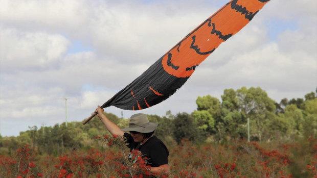 The Save Brixton Street Wetlands alliance is campaigning to save an area black cockatoos shelter in at night. 