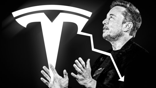 Tesla CEO Elon Musk has plenty of fans and detractors.