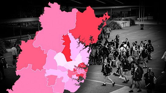 School enrolment figures have been released for 2024.