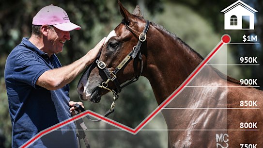 House v horse ownership homepage image