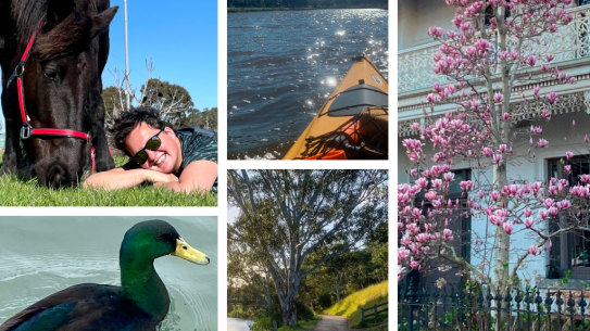 Spring homepage image