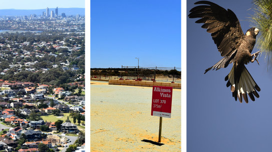 Perth Peel strategic plan Carnaby’s black cockatoos land housing development environment COVID-19.