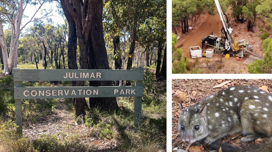 Julimar State Forest mining conservation Western Australia. Picture: Supplied