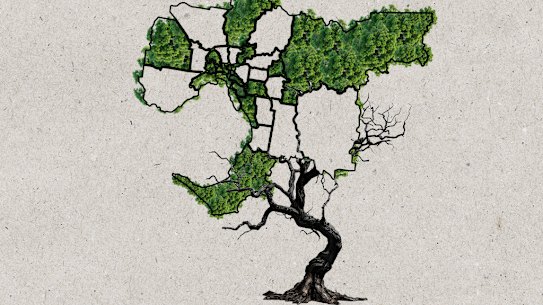 Melbourne has far too little tree canopy, which increases the heat island effect and leads to increased rates of obesity, depression, anxiety and heatstroke.