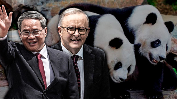 Chinese premier visit to include both ‘panda diplomacy’ and difficult issues