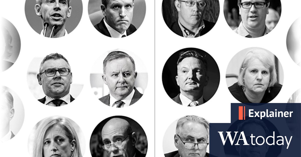 Labor's factions explained: Which ALP MPs belong to which party factions? - Vimarsana News