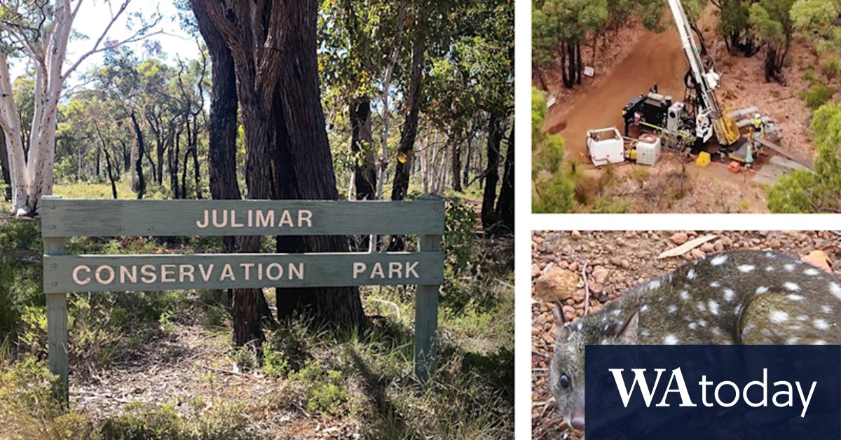 Will WA have to lose forests to fuel a renewable energy future? - Vimarsana News