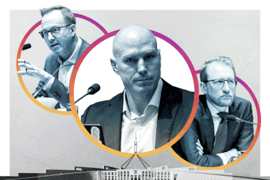 ‘Conflict bait’: How MPs are turning tedious hearings into social media gold