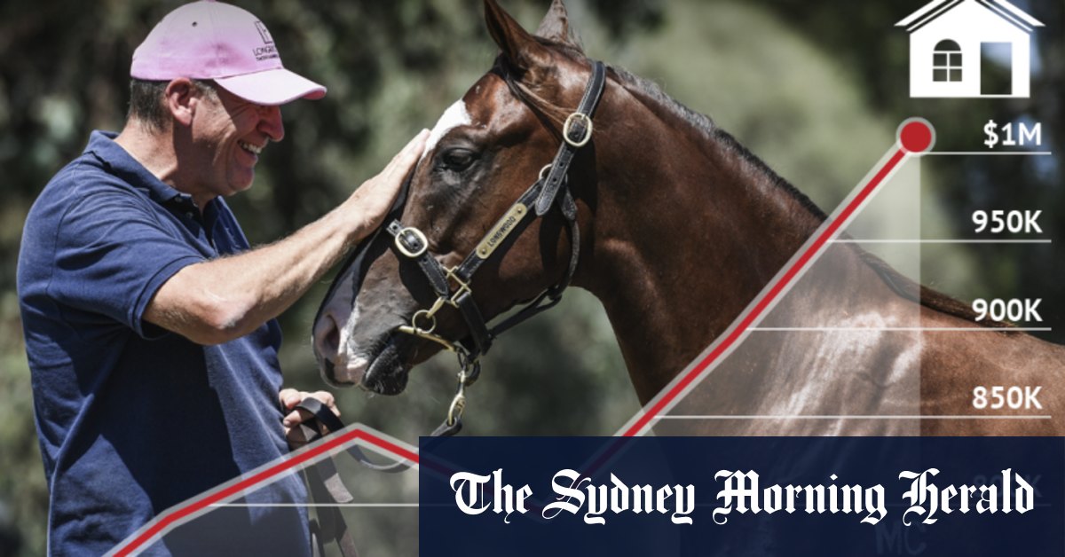 No horsing around: Ownership rivals property as increasingly expensive dream