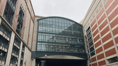 Developers drove these artists out of their homes. This is how they fought back