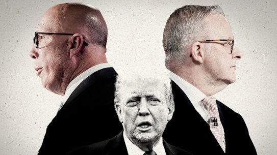 Illustration by Matthew Absalom-Wong