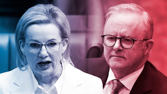 Opposition Leader Sussan Ley and Prime Minister Anthony Albanese.