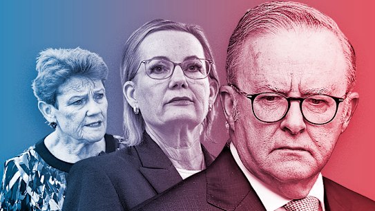 Pauline Hanson, Sussan Ley and Anthony Albanese.