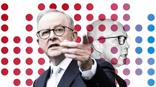 Anthony Albanese, Peter Dutton, and the numbers that swayed the election.