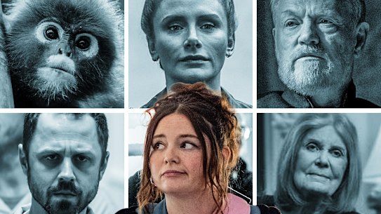 What to stream this week (clockwise from top left): Underdogs; Deep Cover; Foundation; Dear Ms; Too Much; and Sneaky Pete.