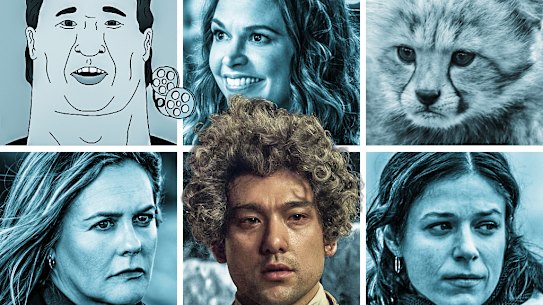 What to stream this week: (from top left) Haha, You Clowns; Younger; Born to Be Wild; The New Years; Amadeus; and Irish Blood.