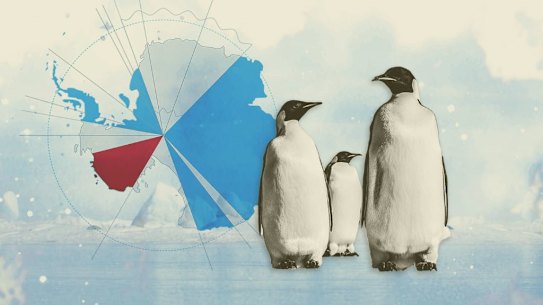 அண்டார்டிகாவின் உறைந்த ஆழத்தில் முதல் முறையாக கேமராவில் சிக்கிய அற்புதமான சுறா