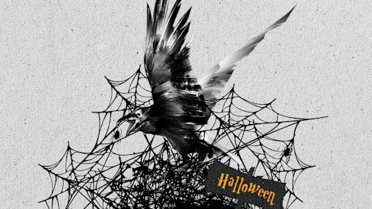 Australian magpies are particularly susceptible to plastic waste like fake spider webs.