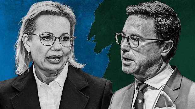 Liberal leader Sussan Ley and David Littleproud of the Nationals.