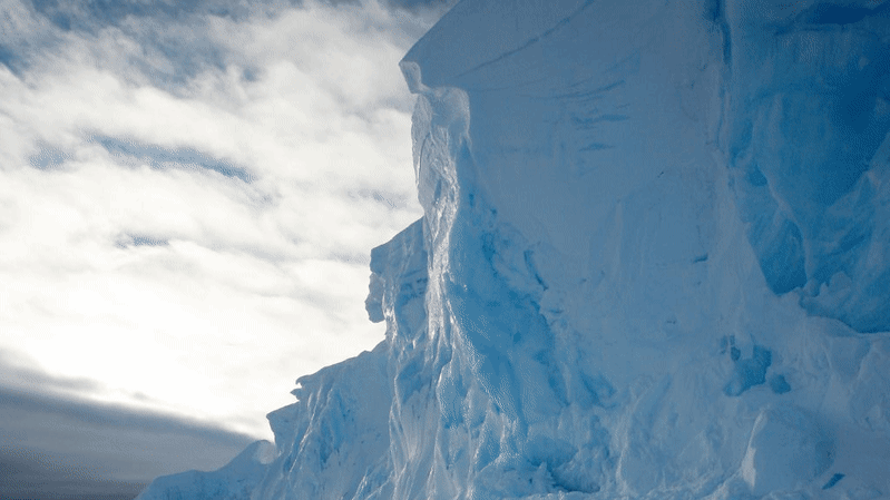 ‘It will kill you’: The dangerous, baffling allure of Antarctica
