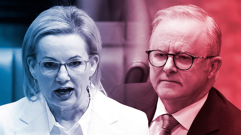 Sussan Ley Approval Ratings: Opposition Leader Gains Ground With Ke...